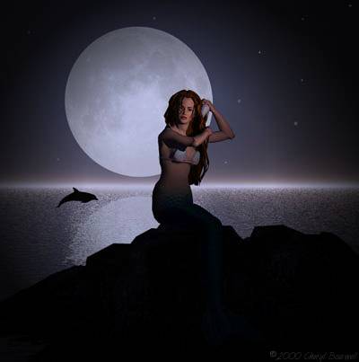 Mermaid and dolphin by moonlight